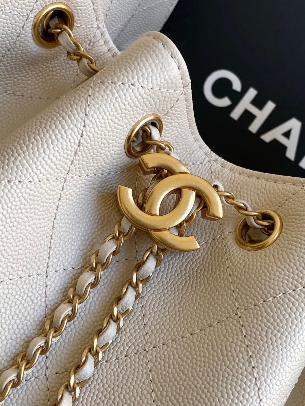Dragons BagsCHn Luxury Bag --114109