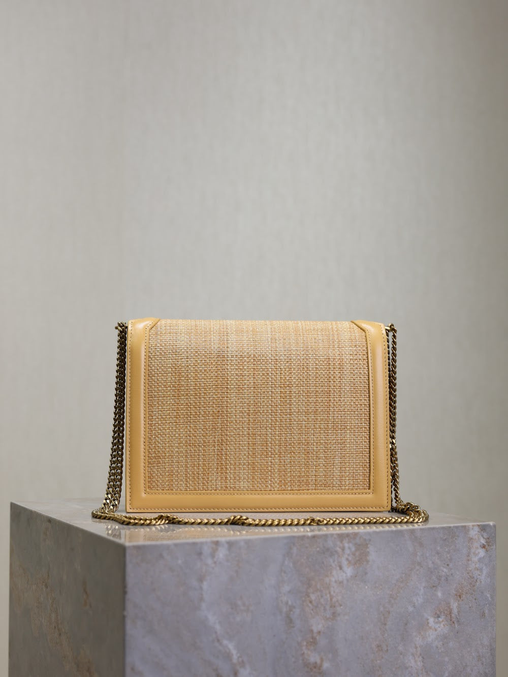 Dragons Bags YSLn Luxury Bag --119165
