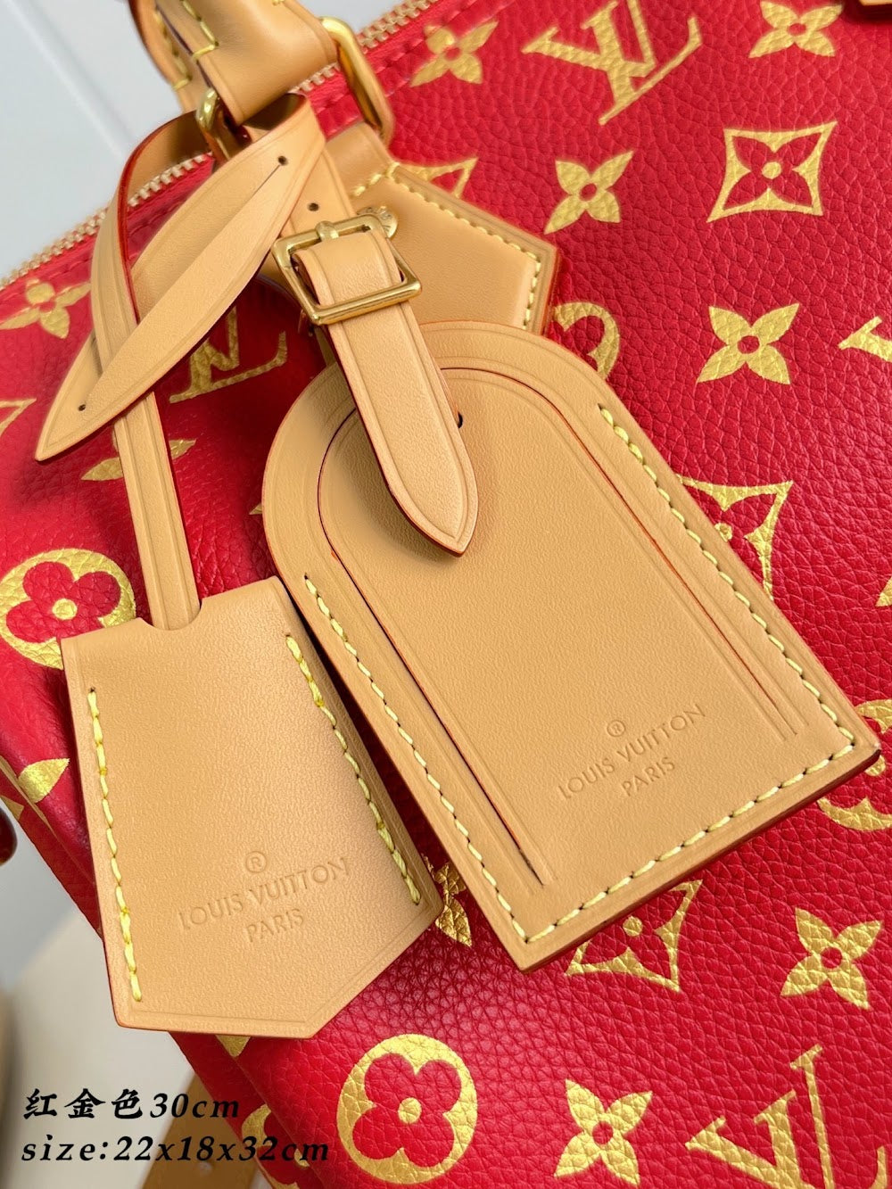 Dragons Bags ln Luxury Bag --96413