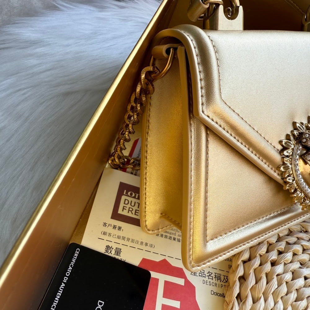 Dragons Bags DGn Luxury Bag --94046