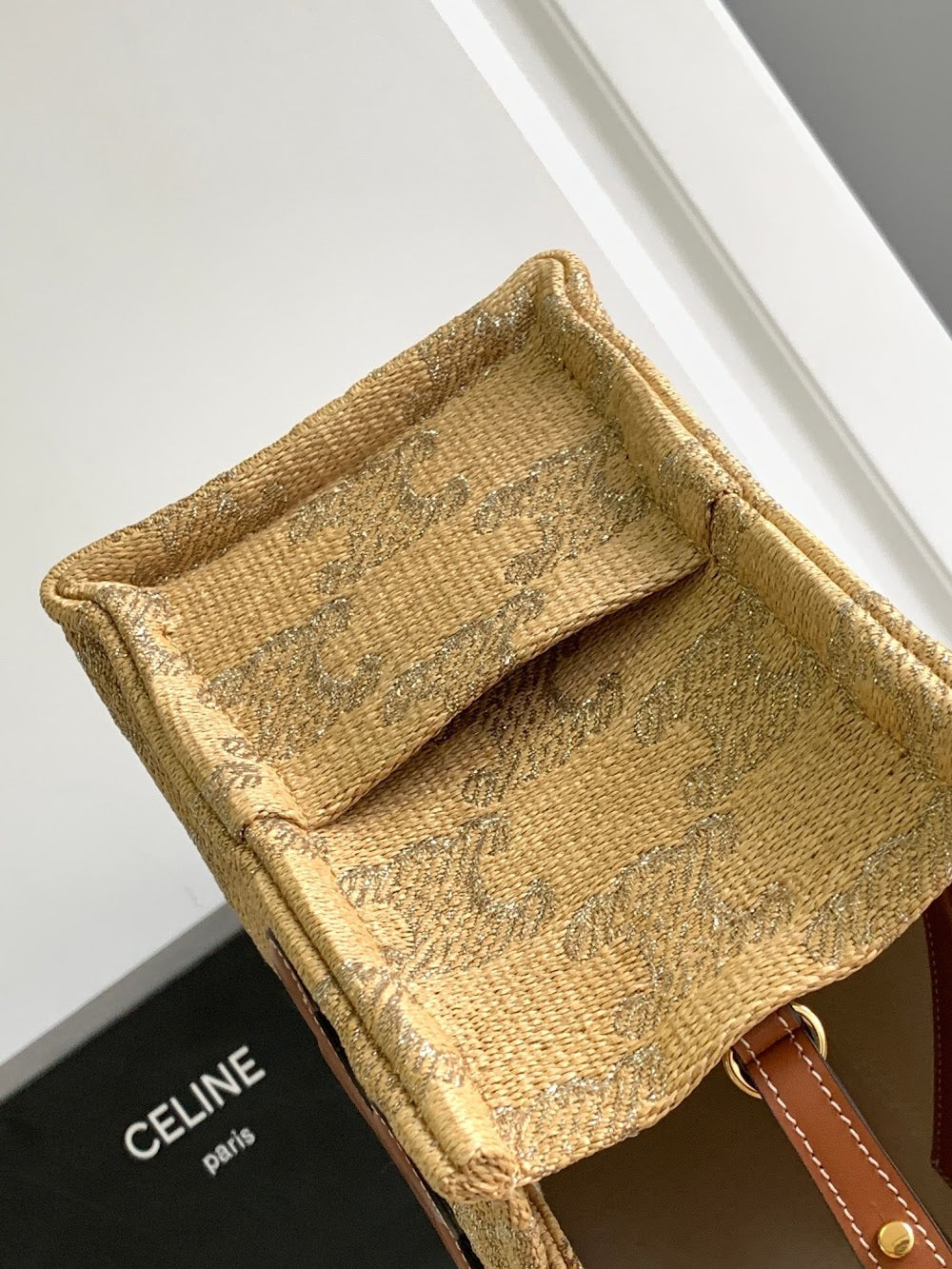 Dragons Bags Celine Luxury Bag --112134