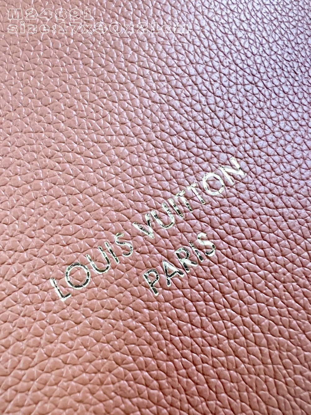 Dragons Bags ln Luxury Bag --96223