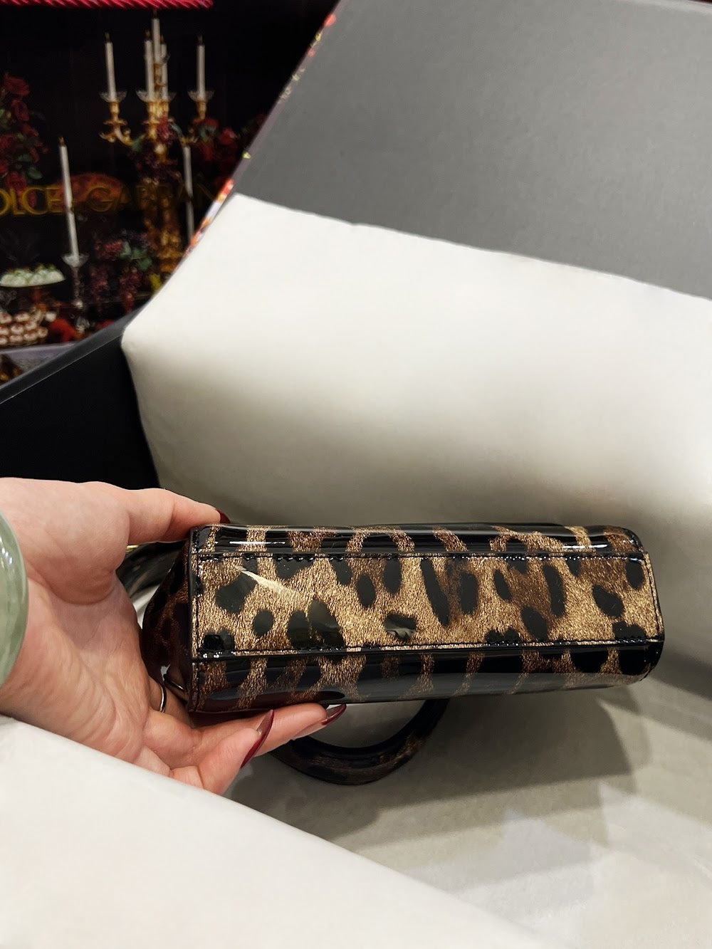 Dragons Bags DGn Luxury Bag --93818