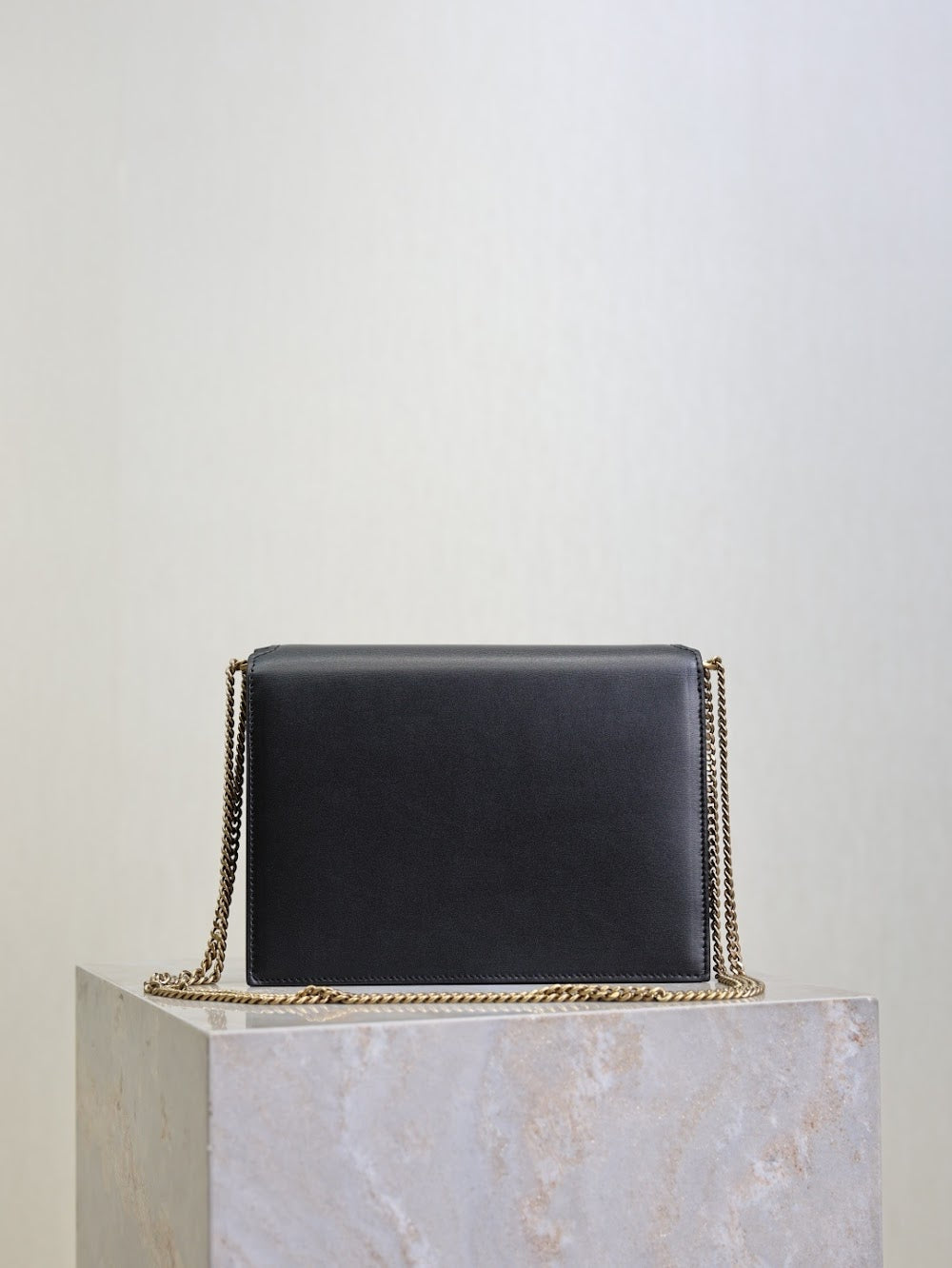 Dragons Bags YSLn Luxury Bag --119708