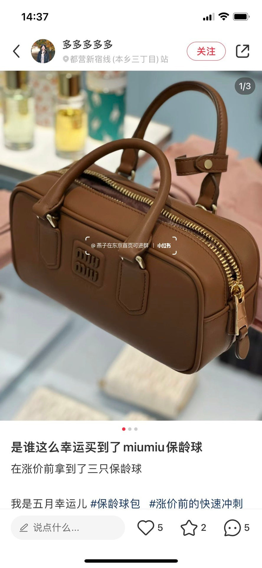 Dragons Bags Miun Miun Luxury Bag --122885