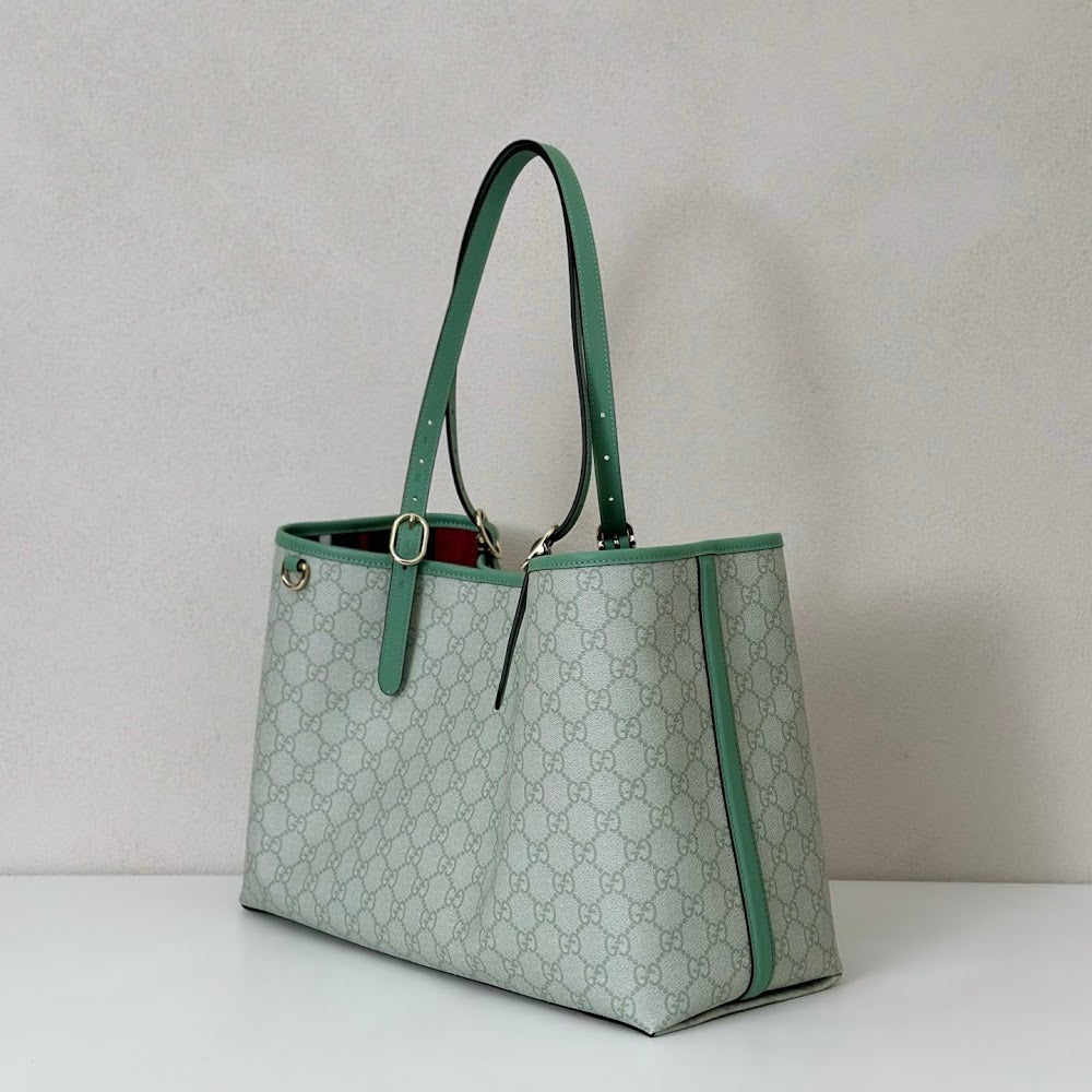 Dragons Bags Guccin Luxury Bag --95332