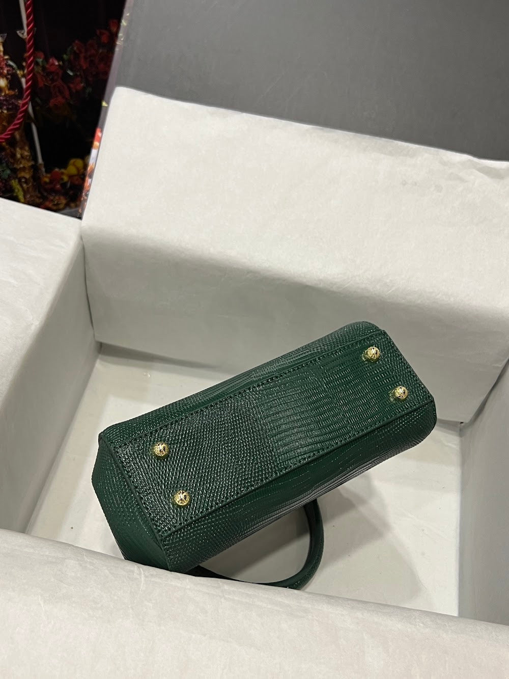 Dragons Bags DGn Luxury Bag --93534