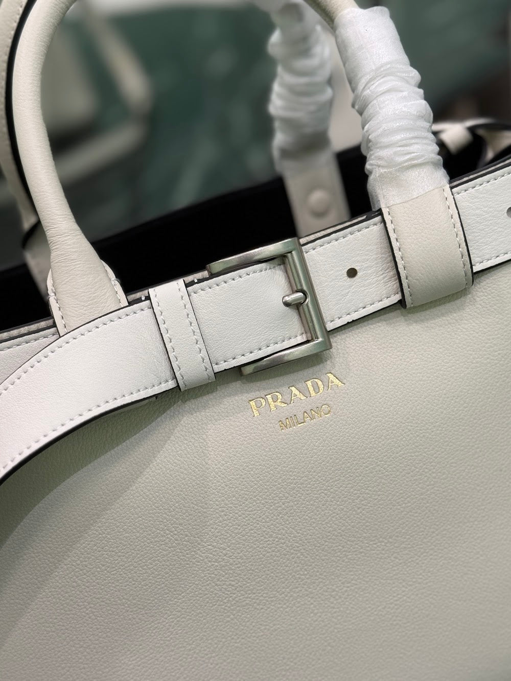 Dragons Bags Pradn Luxury Bag --102293