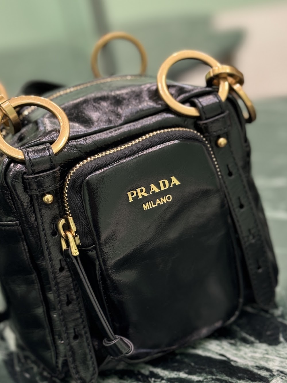 Dragons Bags Pradn Luxury Bag --102101