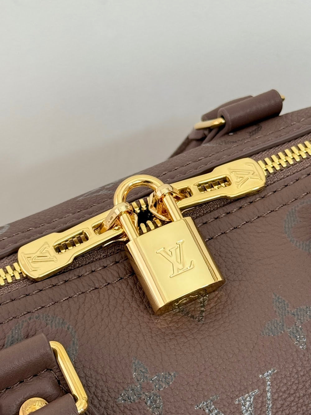 Dragons Bags ln Luxury Bag --96225