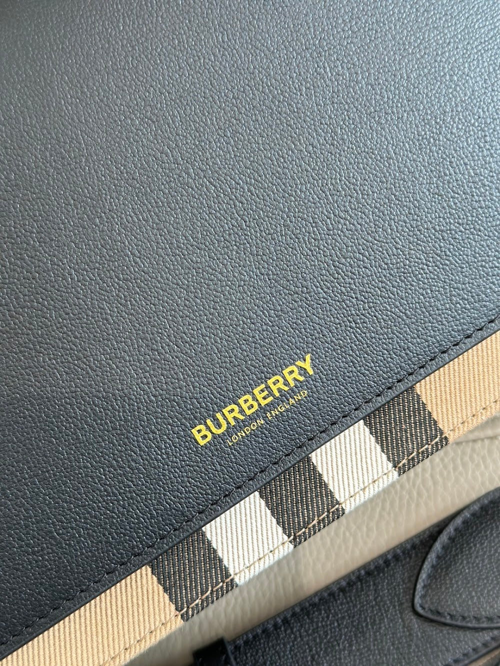Dragons Bags Burberryn Luxury Bag --92097