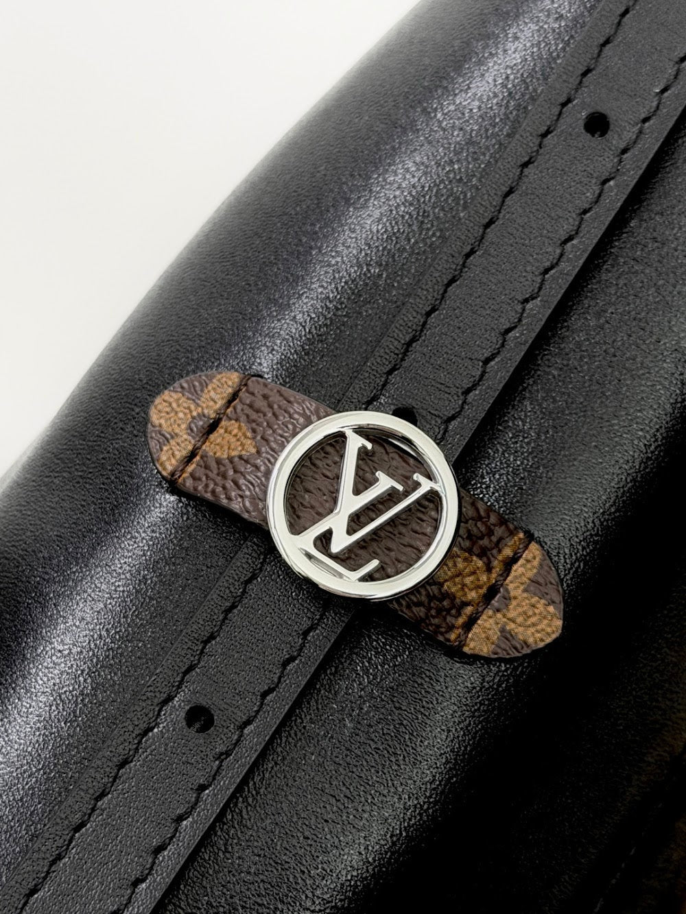 Dragons Bags ln Luxury Bag --96384