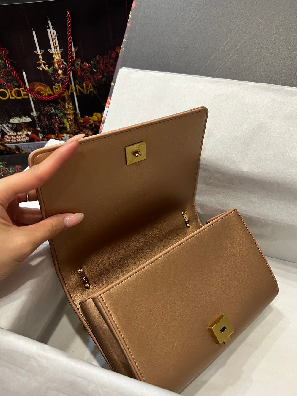Dragons Bags DGn Luxury Bag --93529