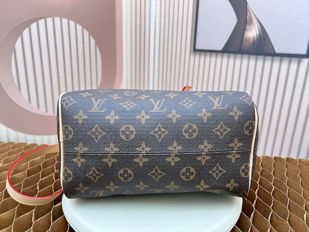 Dragons Bags LVn Luxury Bag --79643
