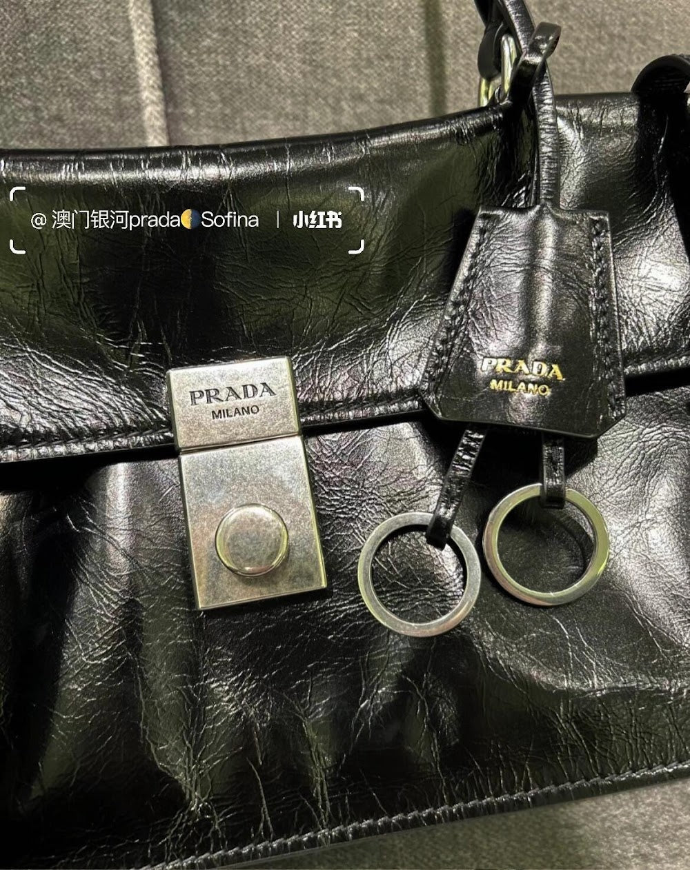 Dragons Bags Pradn Luxury Bag --102588