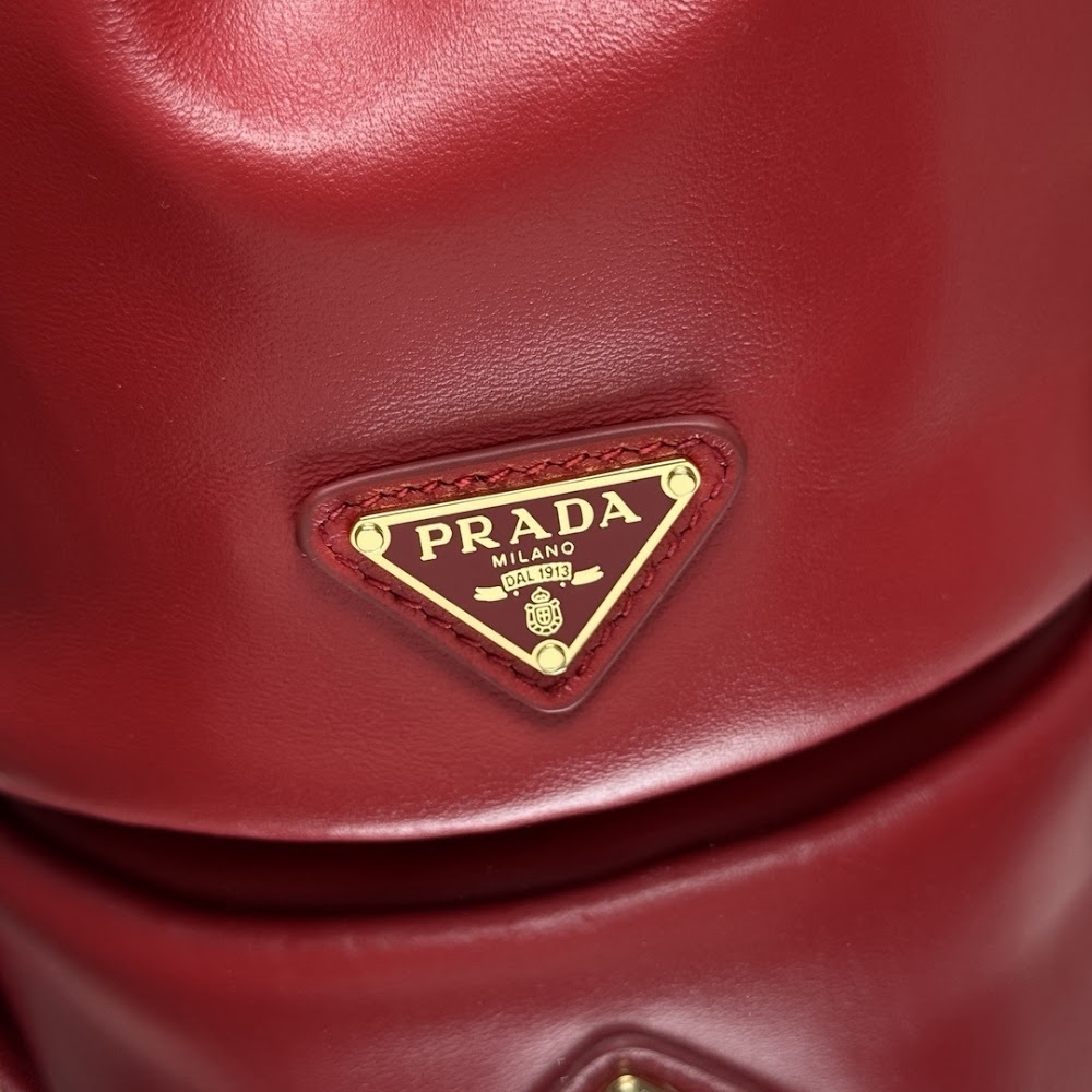 Dragons Bags Pradn Luxury Bag --102953