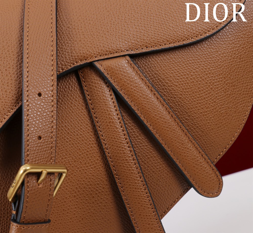 Dragons BagsDiorn Luxury Bag --116497