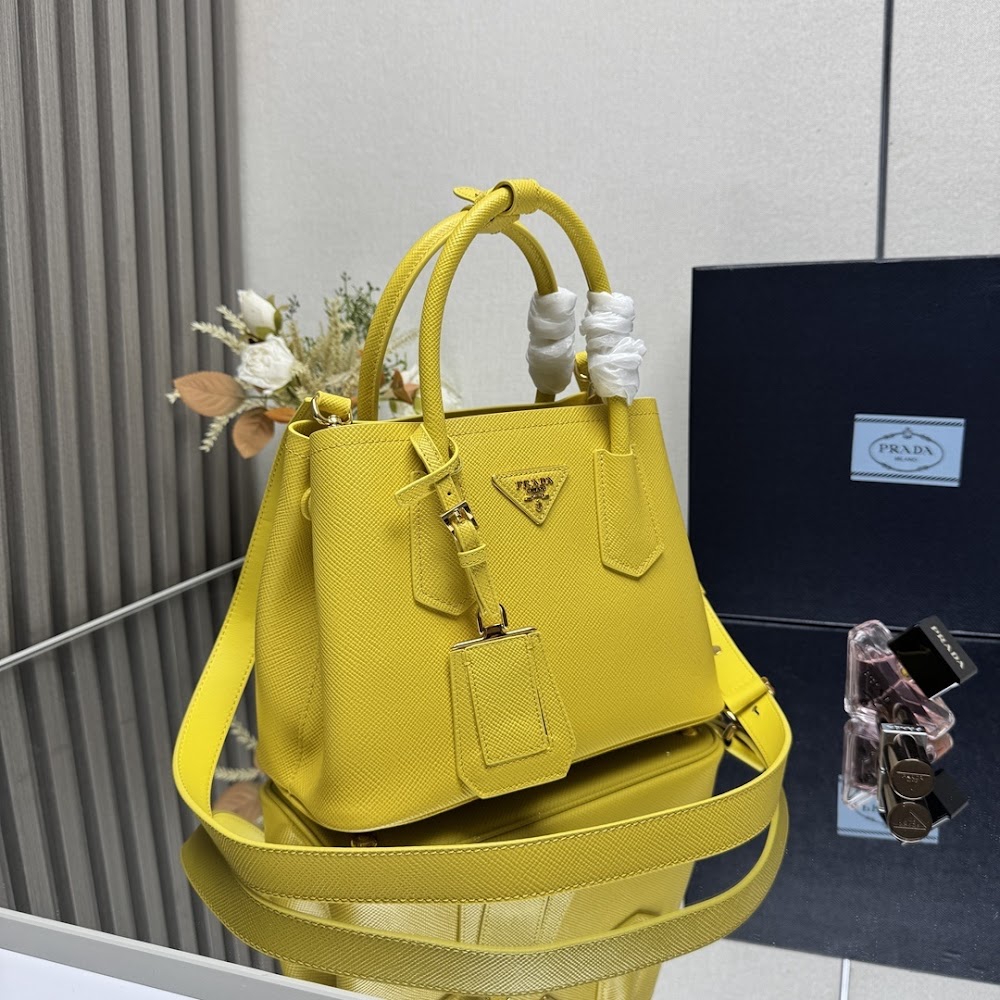 Dragons Bags Pradn Luxury Bag --102318