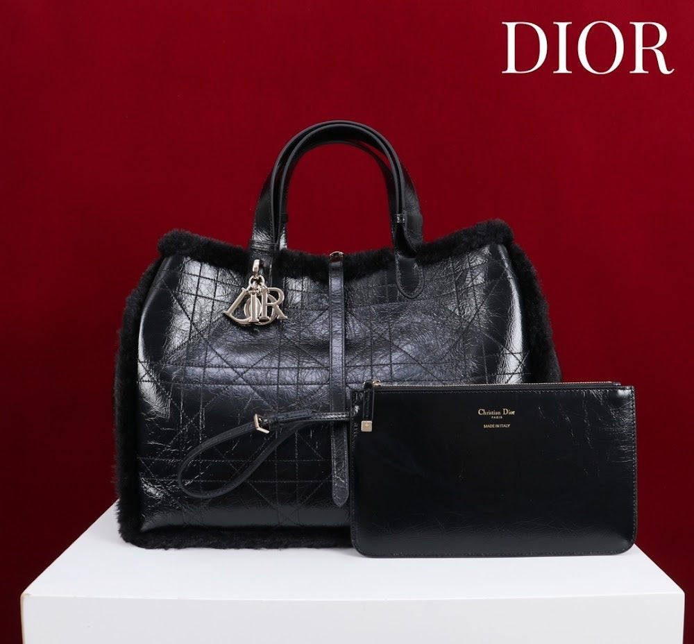 Dragons BagsDiorn Luxury Bag --116118