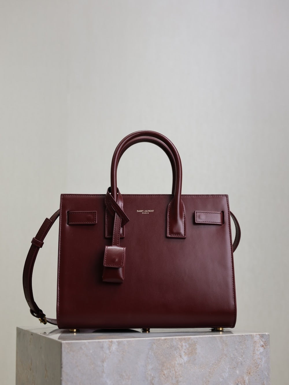 Dragons Bags YSLn Luxury Bag --119277