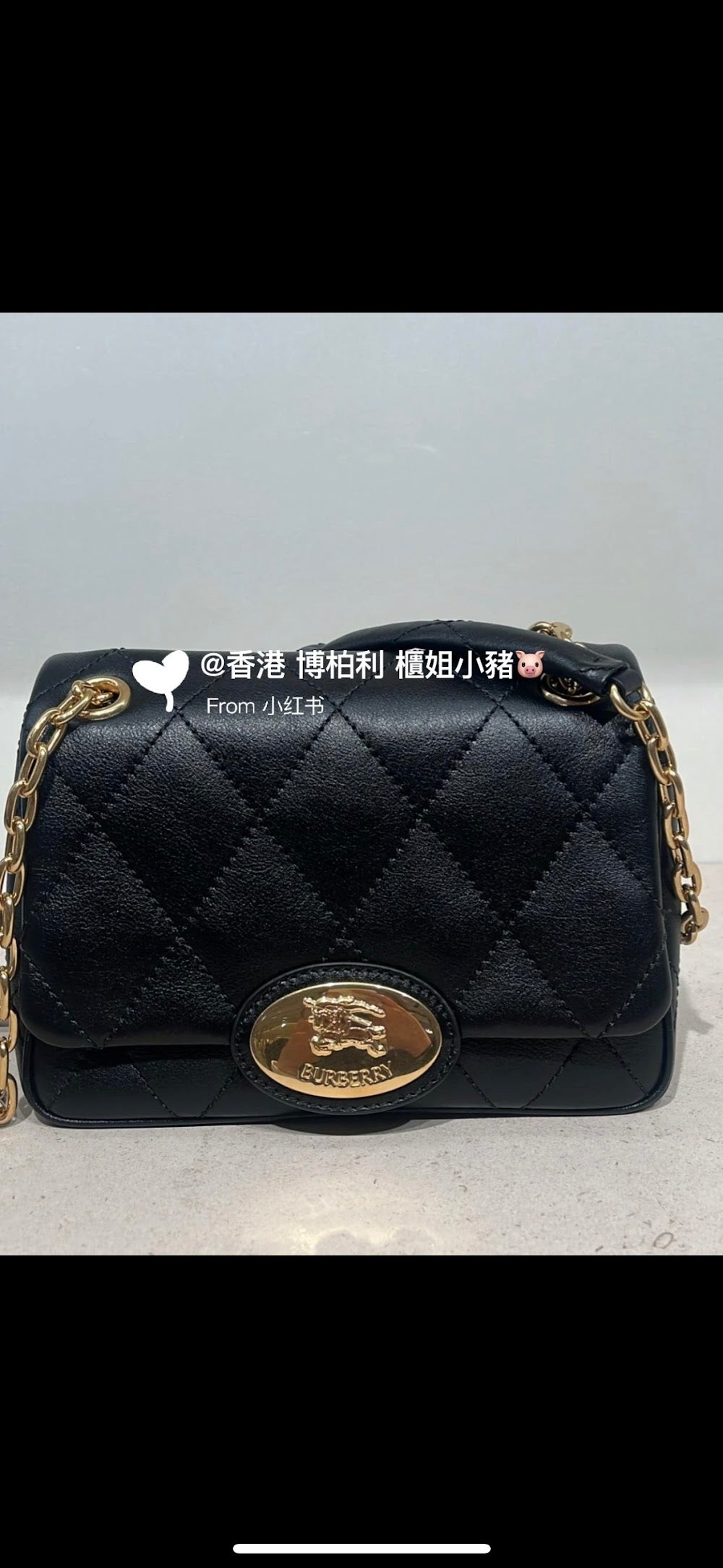 Dragons Bags Burberryn Luxury Bag --92328