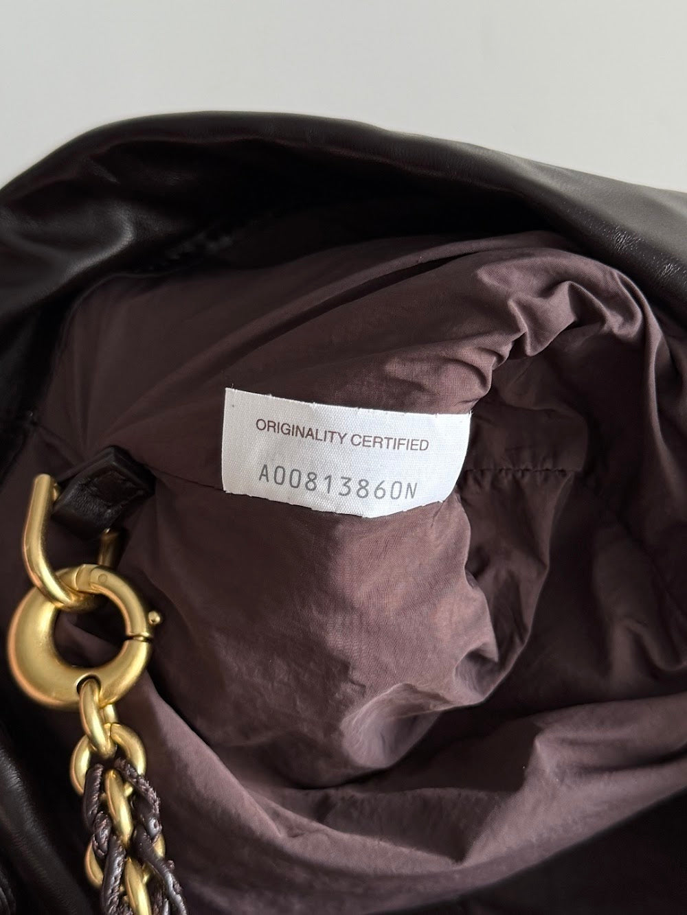 Dragons Bags Bottegan Luxury Bag --91555
