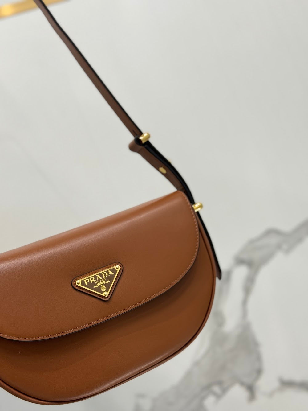 Dragons Bags Pradn Luxury Bag --102088
