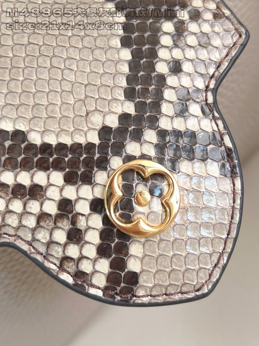 Dragons Bags ln Luxury Bag --95709