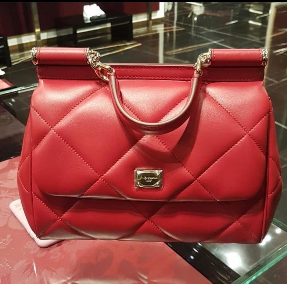 Dragons Bags DGn Luxury Bag --93221