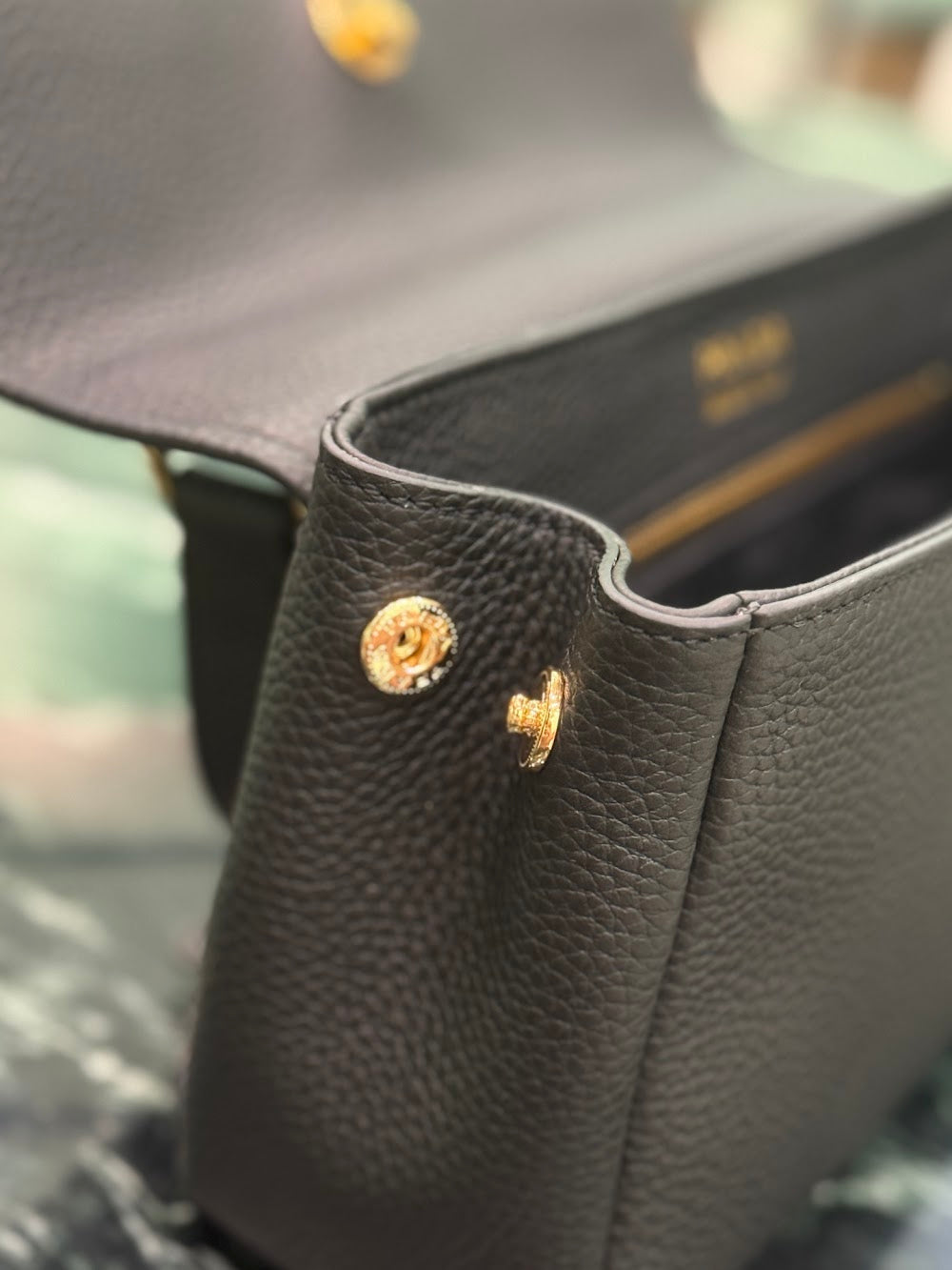 Dragons Bags Pradn Luxury Bag --102283