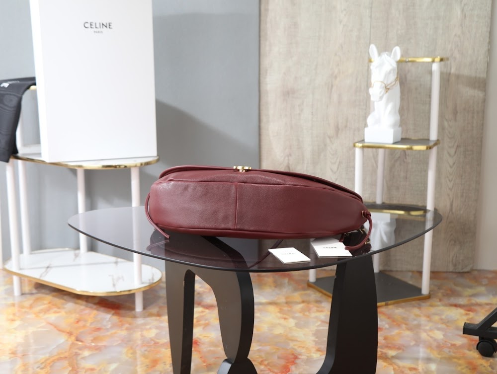 Dragons Bags Celine Luxury Bag --112658