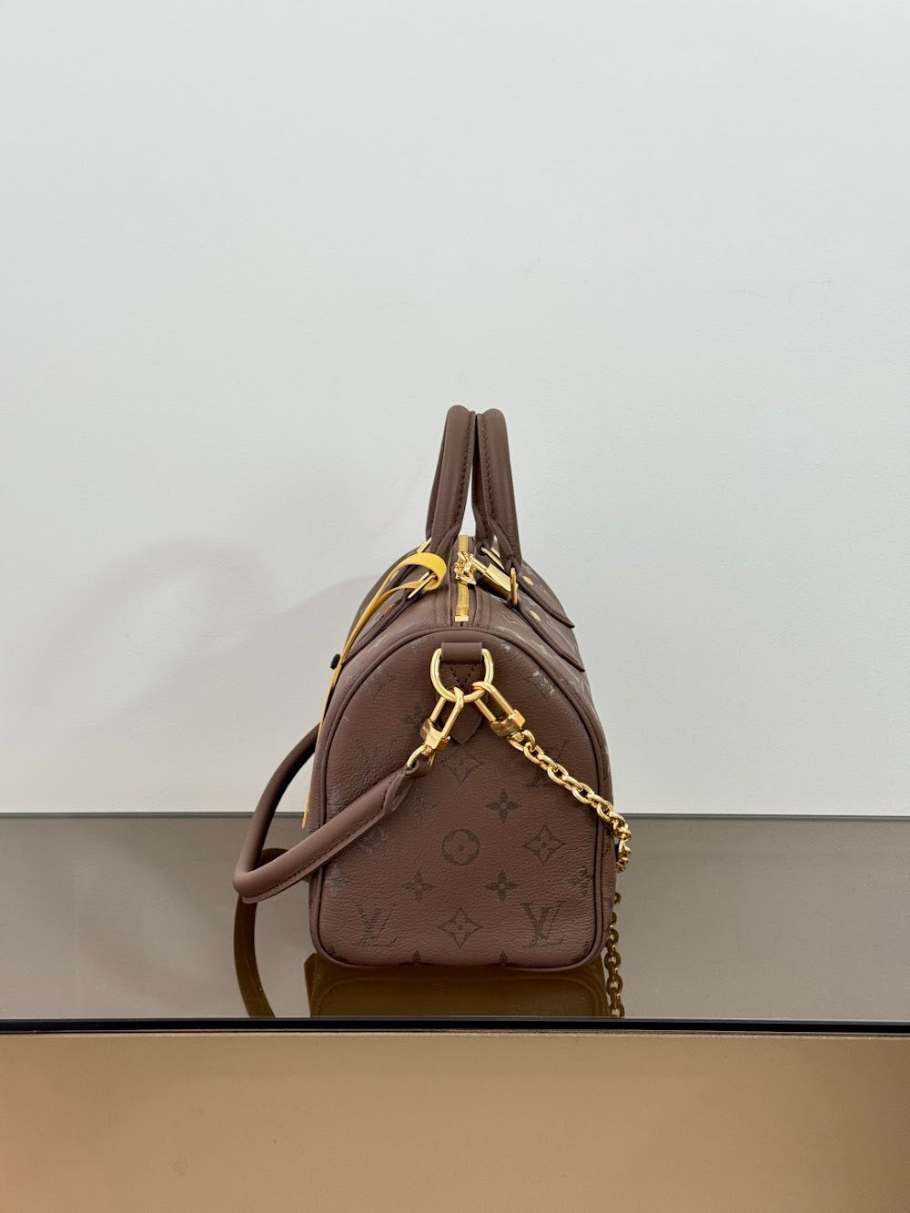 Dragons Bags ln Luxury Bag --96225