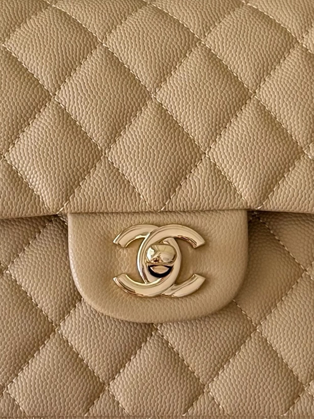 Dragons BagsCHn Luxury Bag --114038
