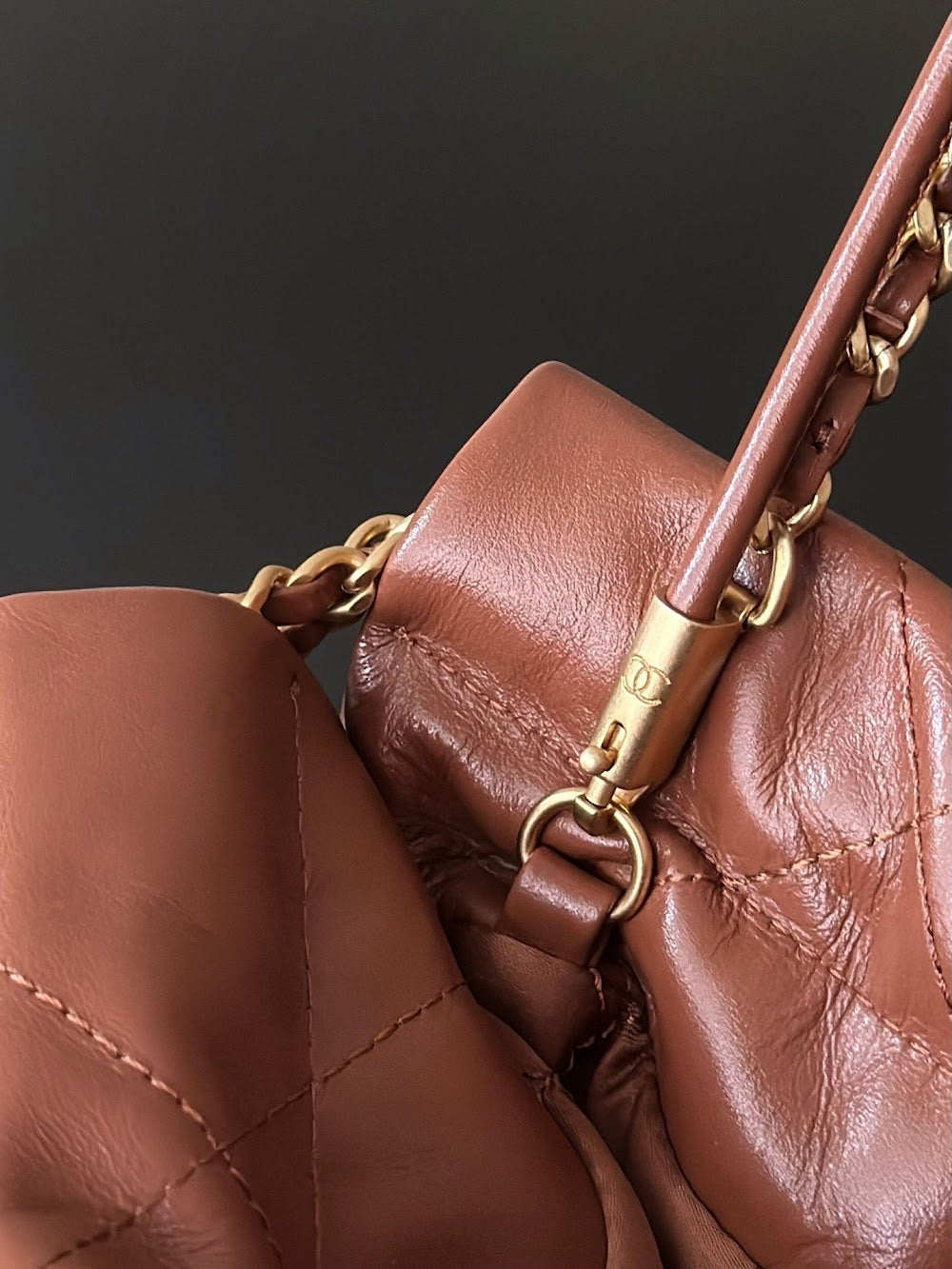Dragons Bags CHn Luxury Bag --112760