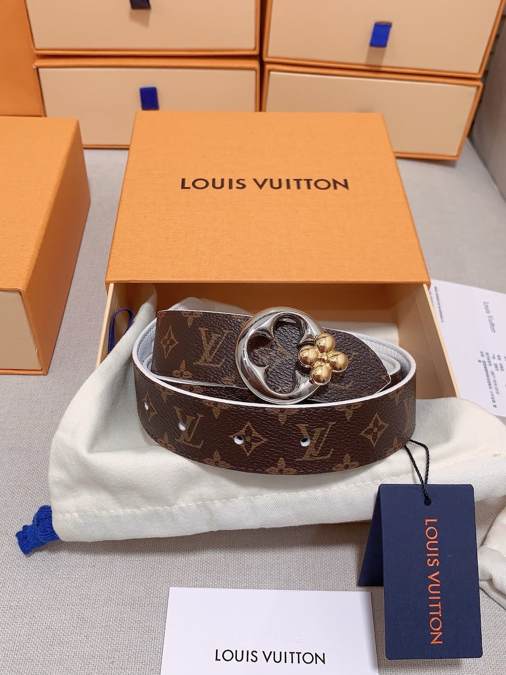 Dragons Bags ln Luxury Belt --109404
