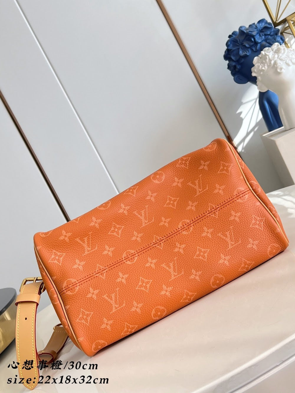 Dragons Bags ln Luxury Bag --96532