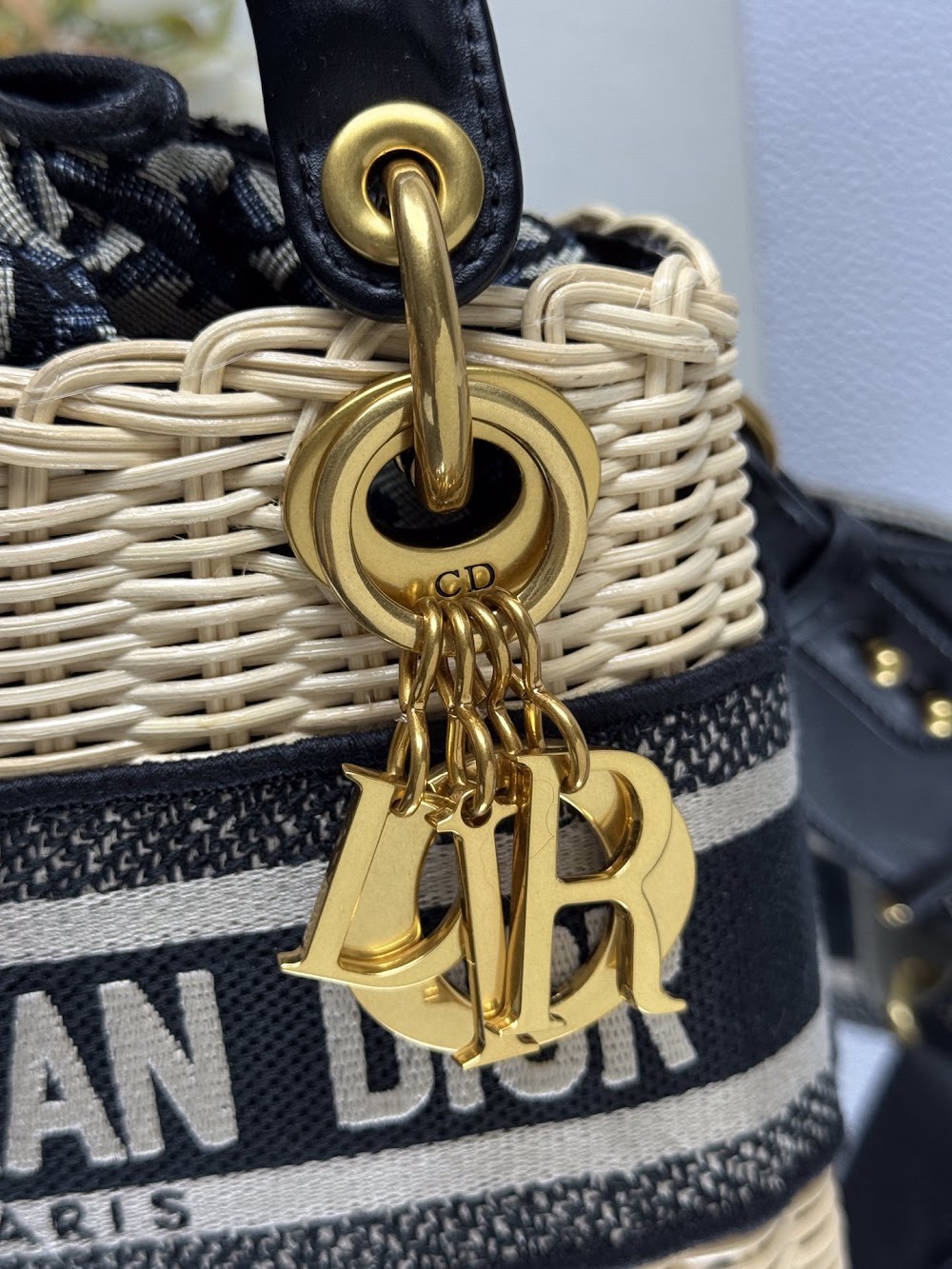 Dragons BagsDiorn Luxury Bag --115595