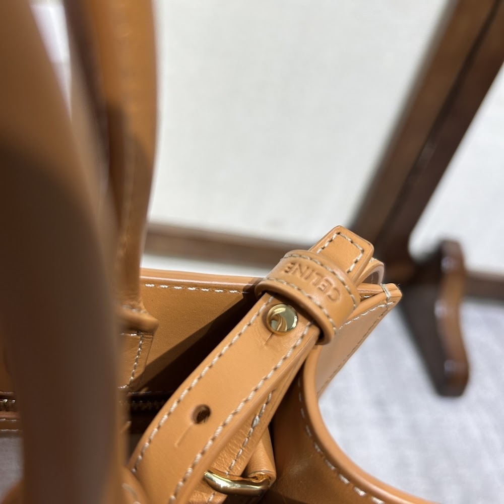 Dragons Bags Celine Luxury Bag --112513