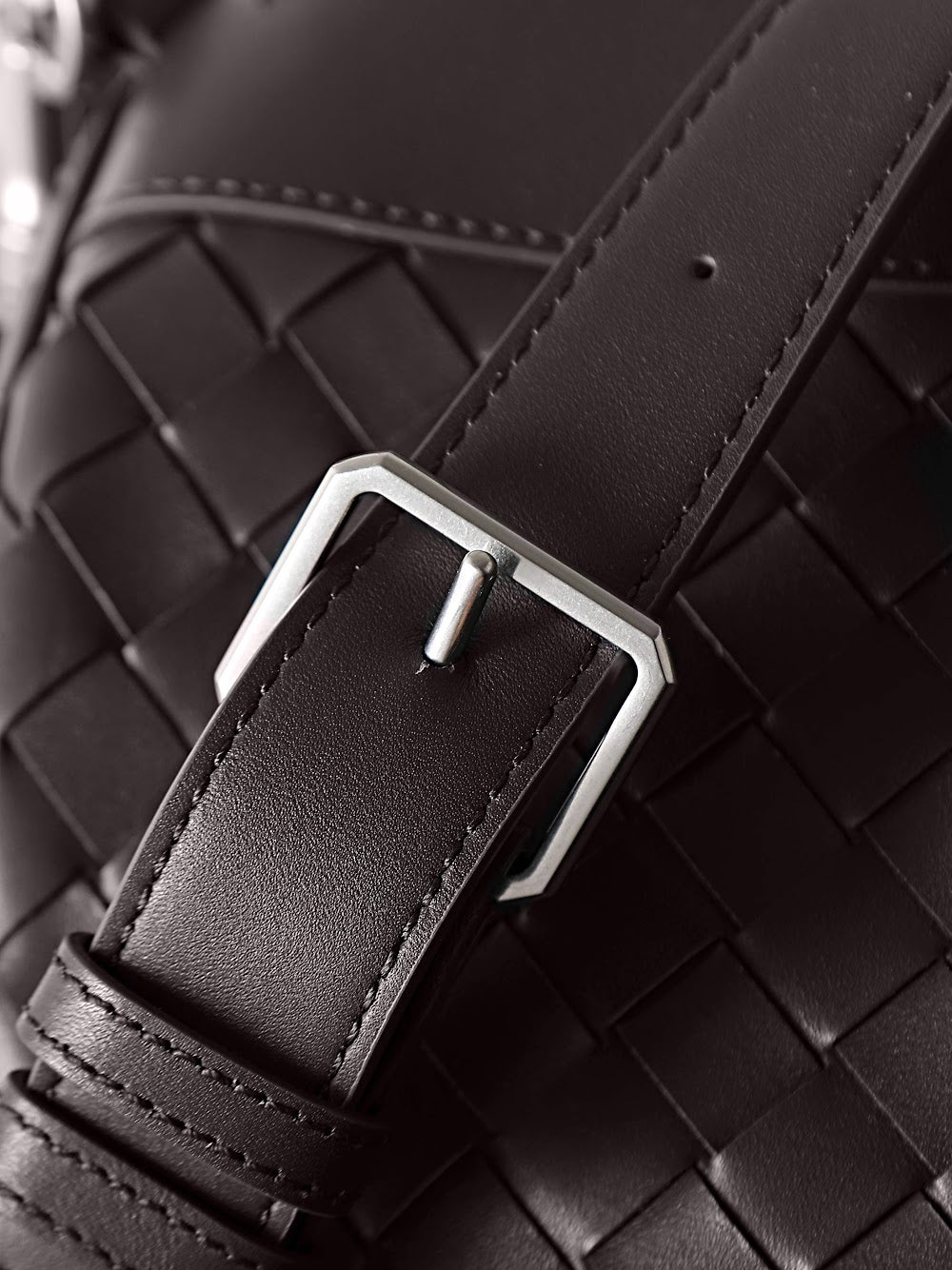 Dragons Bags Bottegan Luxury Bag --91406