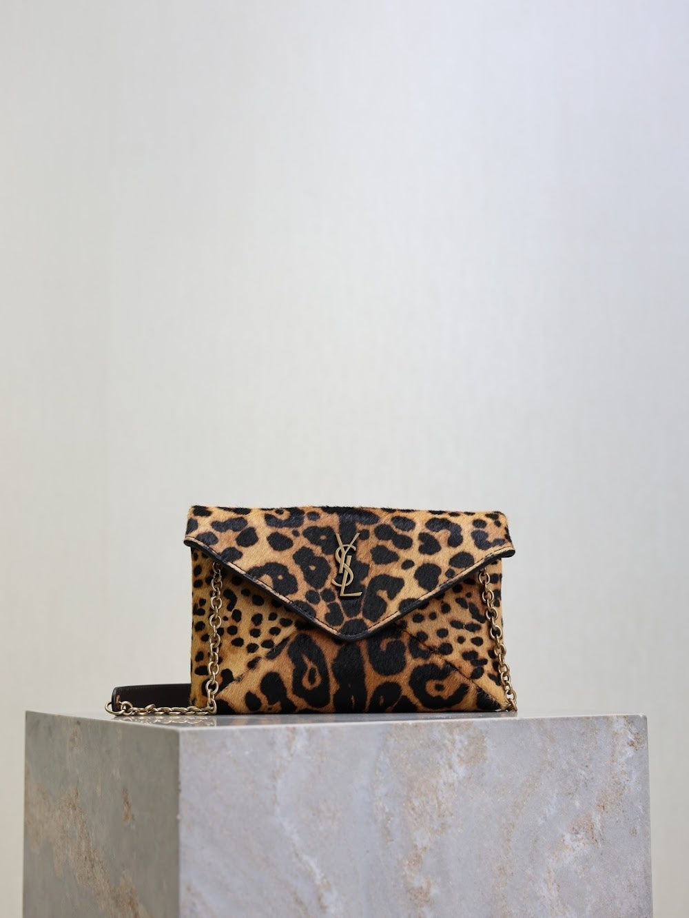 Dragons Bags YSLn Luxury Bag --119873