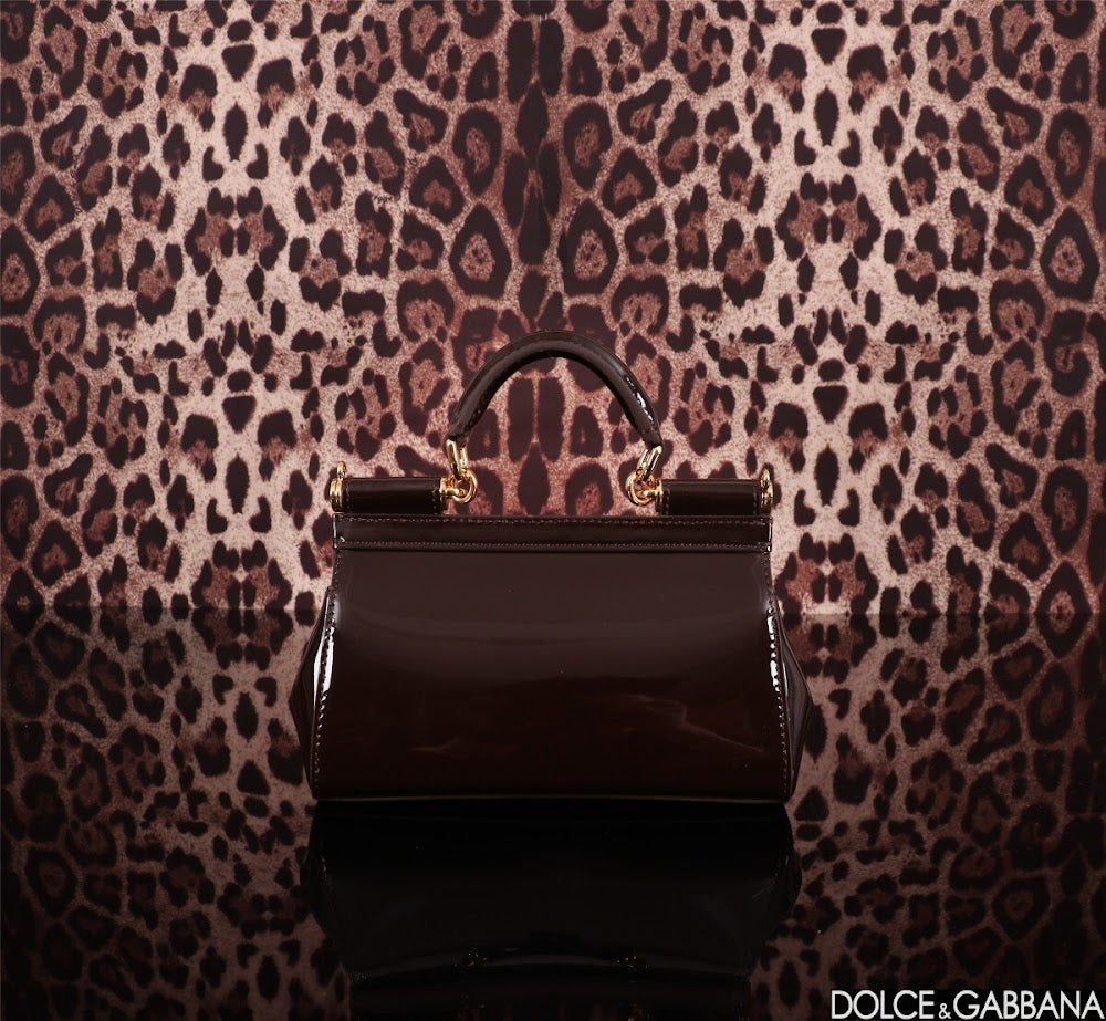 Dragons Bags DGn Luxury Bag --93640