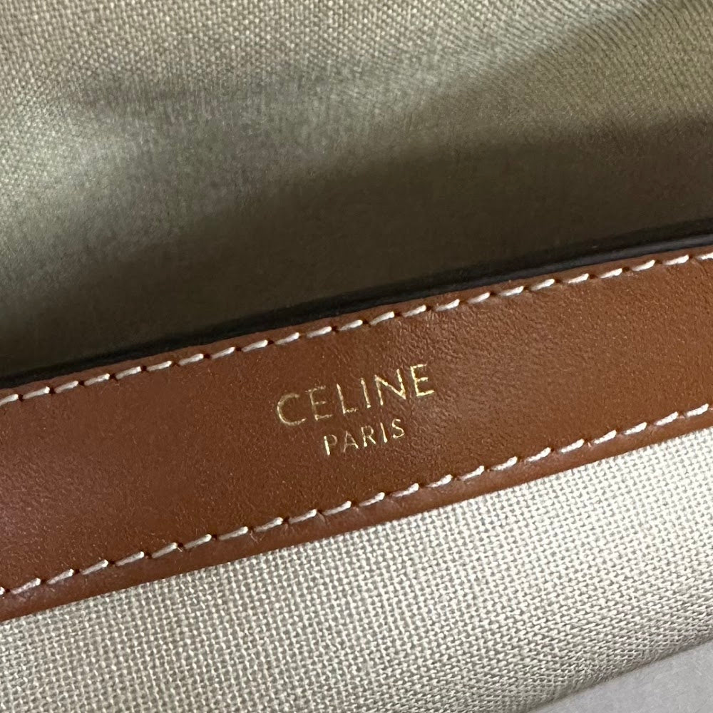 Dragons Bags Celine Luxury Bag --111978