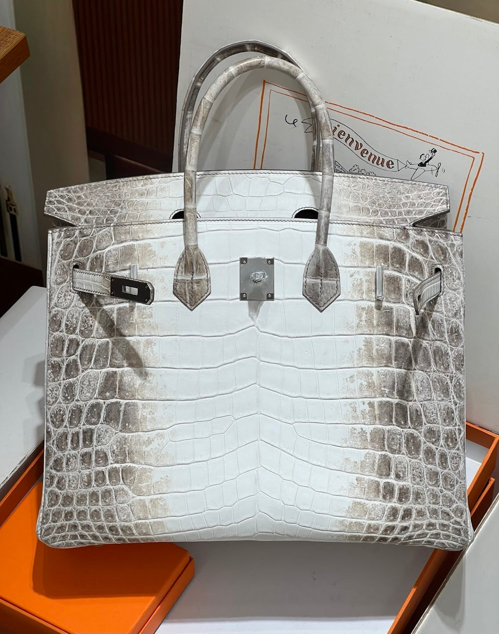 Dragons BagsHermesn Luxury Bag --116725