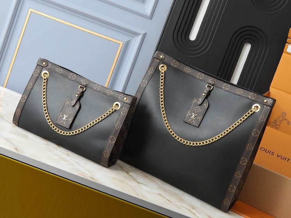 Dragons Bags ln Luxury Bag --76494