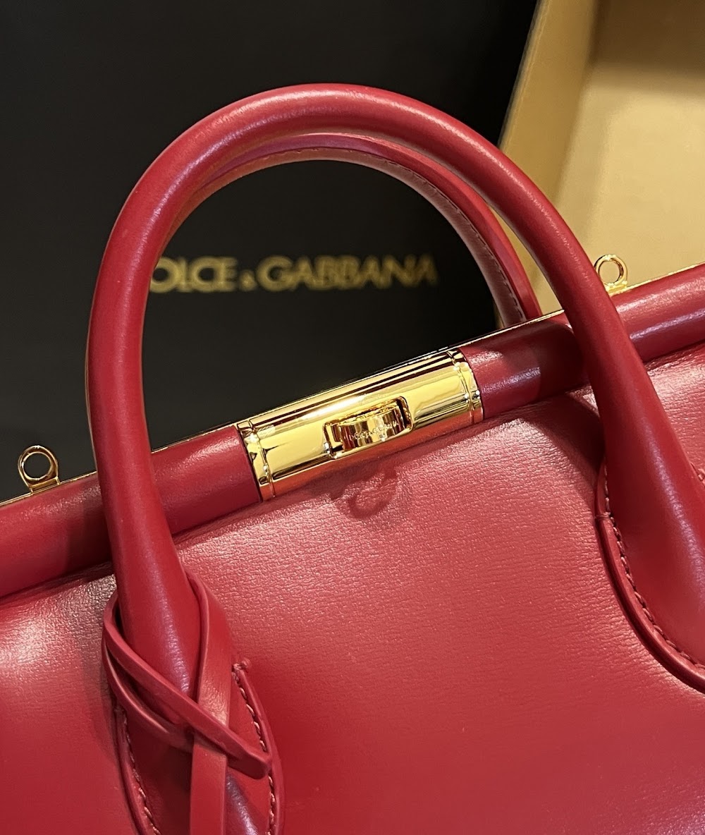 Dragons Bags DGn Luxury Bag --93896