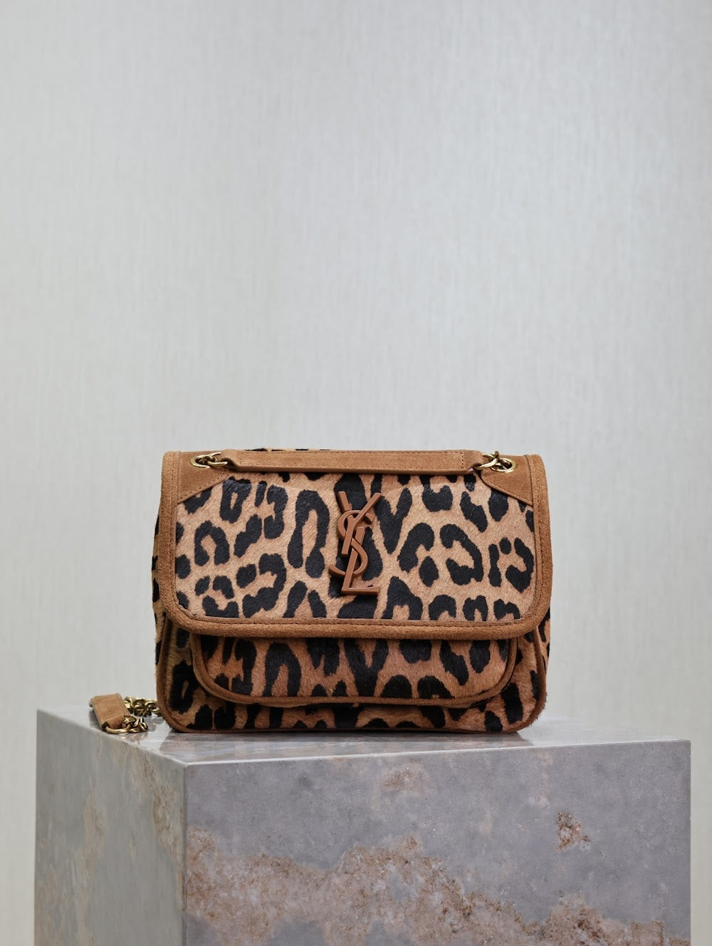 Dragons Bags YSLn Luxury Bag --119650