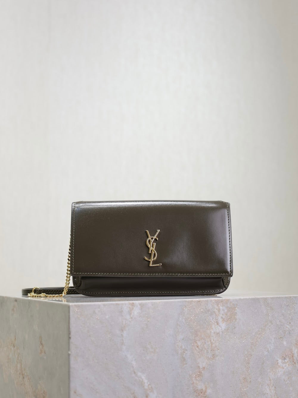 Dragons Bags YSLn Luxury Bag --120482