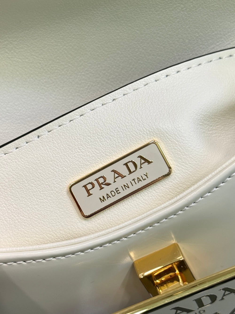 Dragons Bags Pradn Luxury Bag --101647