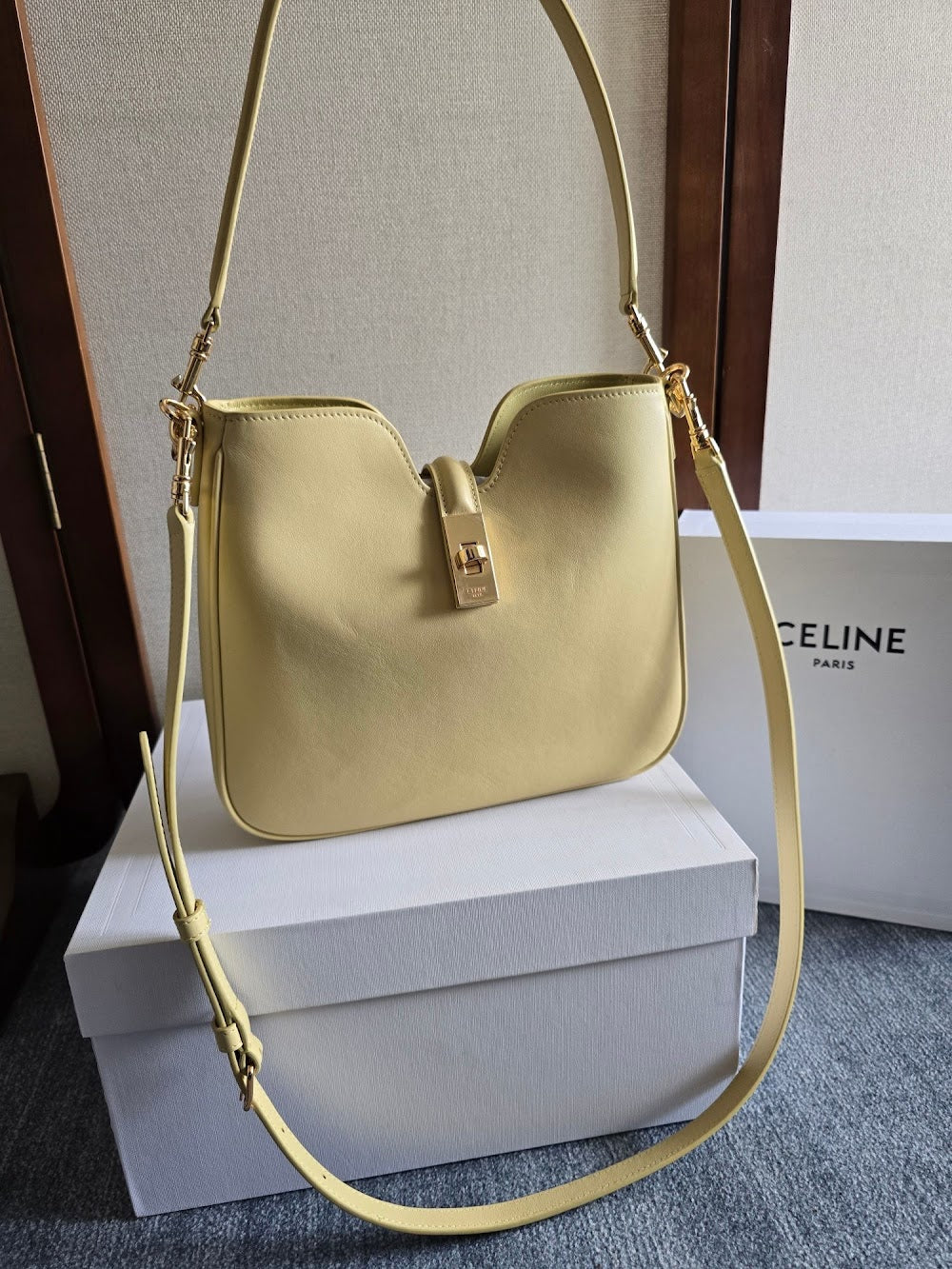 Dragons Bags Celine Luxury Bag --112207