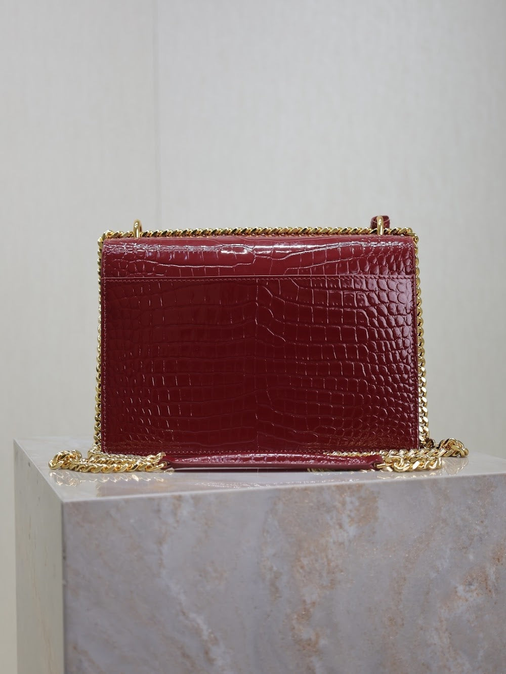 Dragons Bags YSLn Luxury Bag --120618